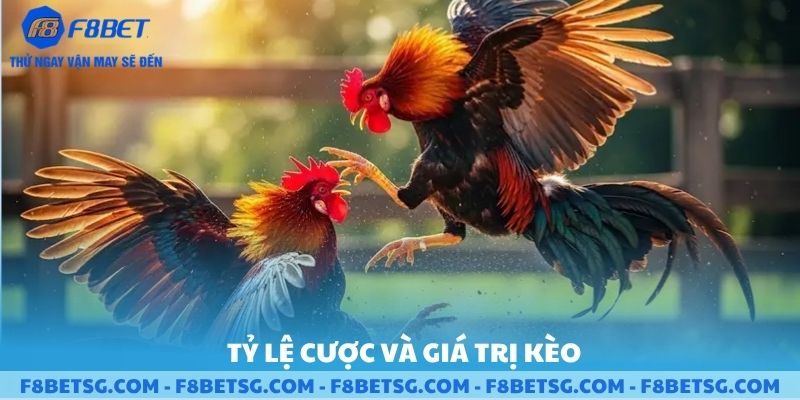 Tỷ lệ cược và giá trị kèo