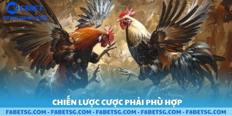 Chiến lược cược phải phù hợp
