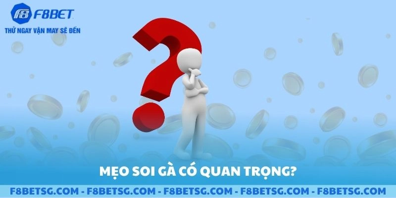 Mẹo soi gà và cược đá gà F8BET có quan trọng
