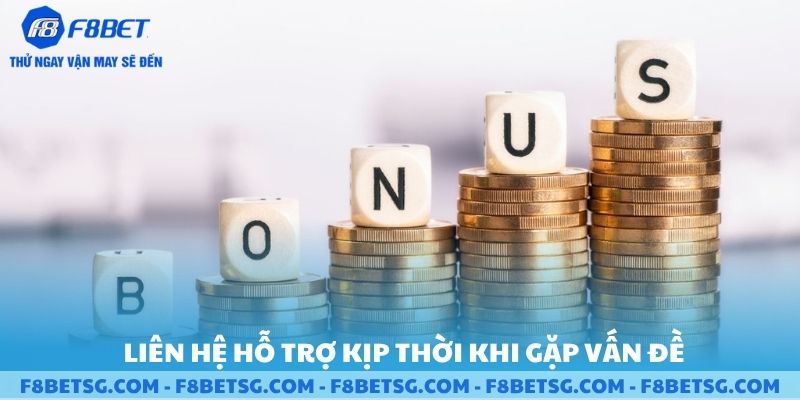 Liên hệ hỗ trợ kịp thời khi gặp vấn đề