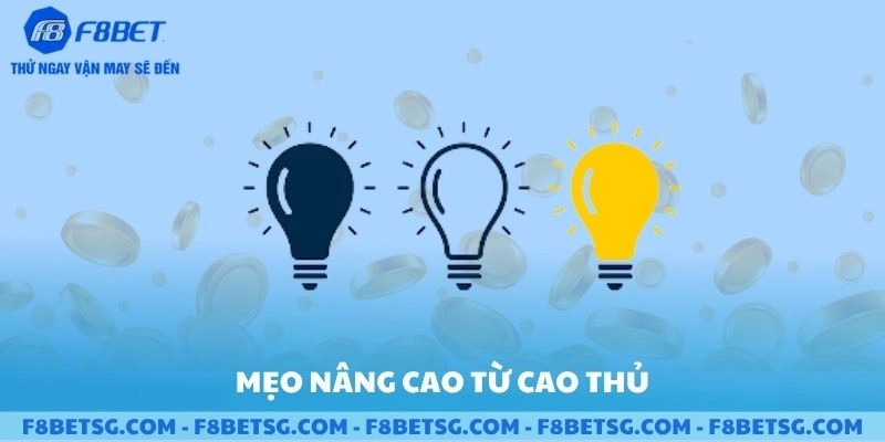 Mẹo nâng cao từ cao thủ khi cược đá gà F8BET