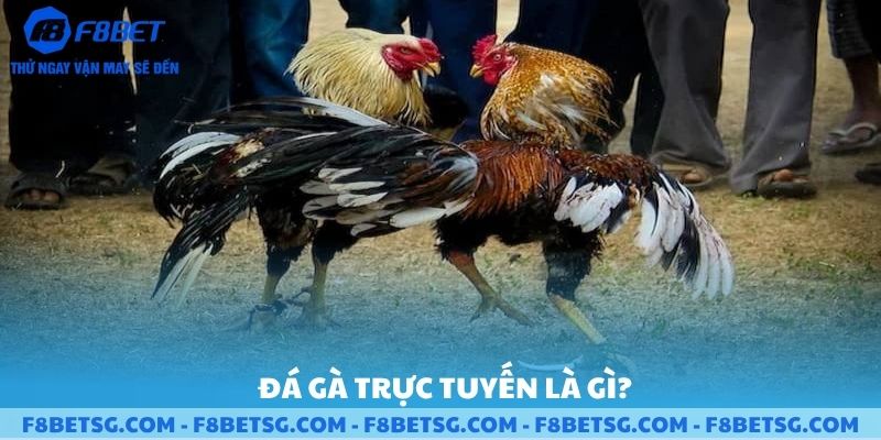 Đá gà trực tuyến F8BET là gì ?