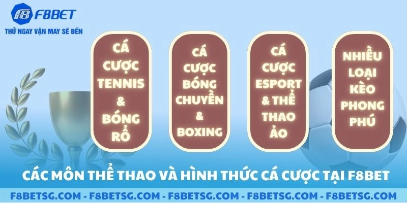 Các môn thể thao và hình thức cá cược thể thao trực tuyến phổ biến