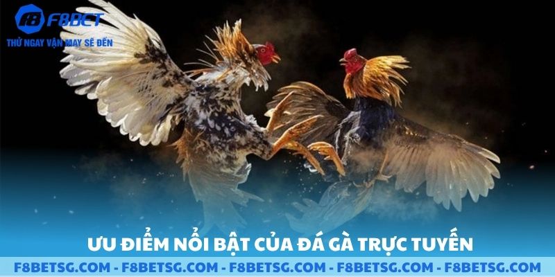 Ưu điểm nổi bật của game đá gà trực tuyến