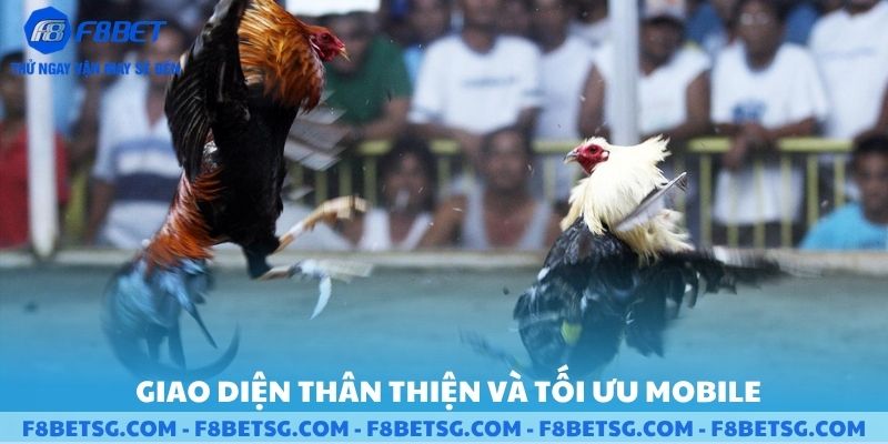 Giao diện thân thiện và tối ưu hóa trên điện thoại