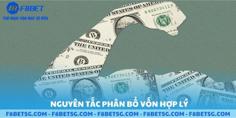 Nguyên tắc phân bổ vốn hợp lí