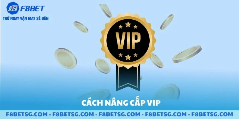 Cách nâng cấp vip để nhận ưu đãi rút tiền nhanh