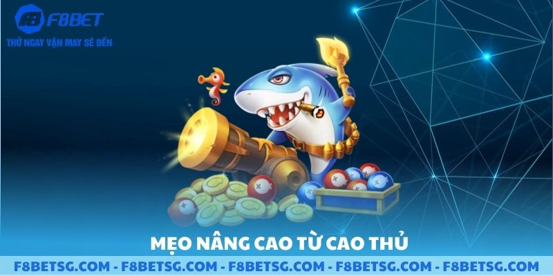 Mẹo nâng cao từ cao thủ cho game bắn cá