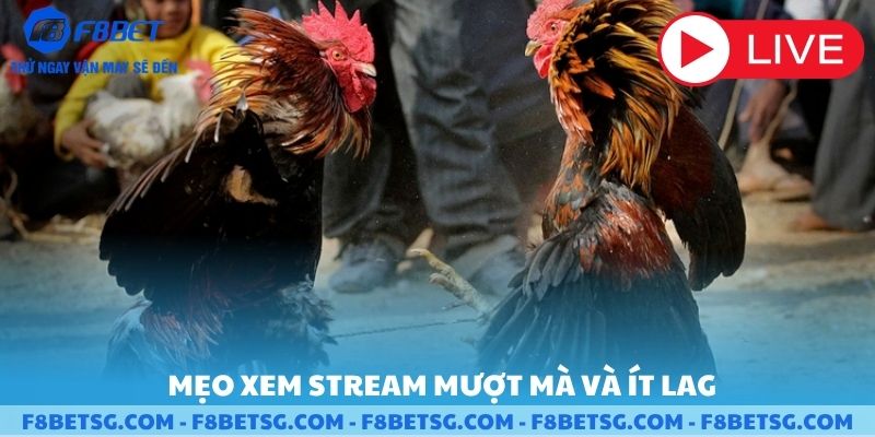 Mẹo xem stream mượt và ít lag