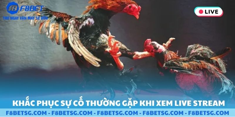 Khắc phục sự cố thường gặp khi xem livestream