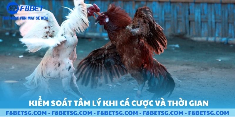 Kiểm soát tâm lý khi cá cược và thời gian